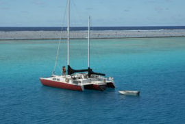 Migration anchored in North Minerva Reef